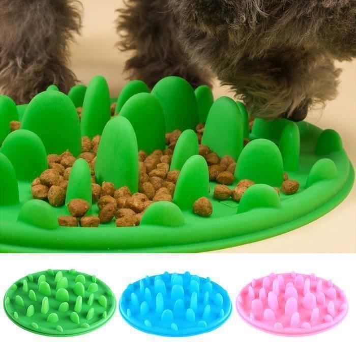 Chien Chat Chiot Gamelle Bol Voyage Antiderapant Anti Glouton Lente Alimentation Vert Achat Vente Gamelle Ecuelle Chien Cdiscount