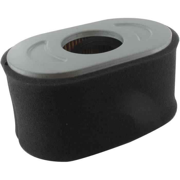 Filtre à air adaptable BRIGGS & STRATTON pour moteurs VANGUARD mono-cylindres 13H132, 13H152, 13H157