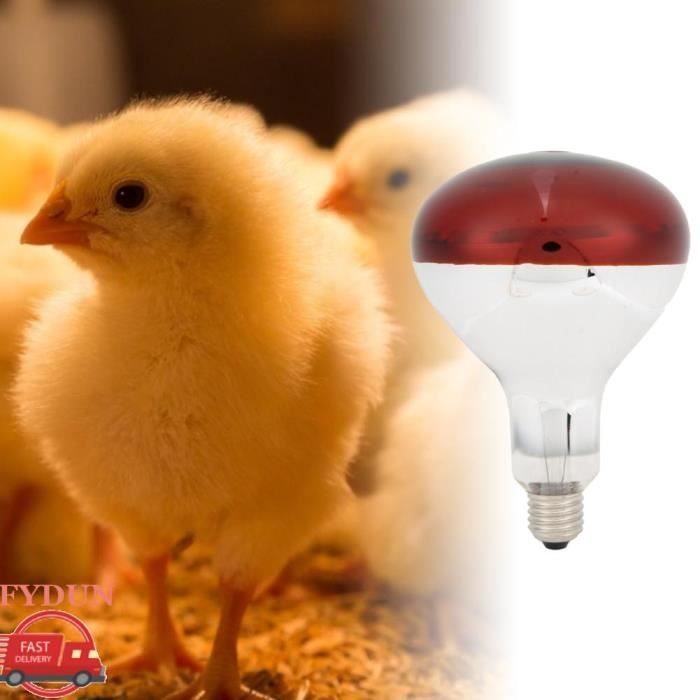 Meilleurs prix pour FYDUN Ampoule Chauffante Rouge pour Poussins 250W Infrarouge