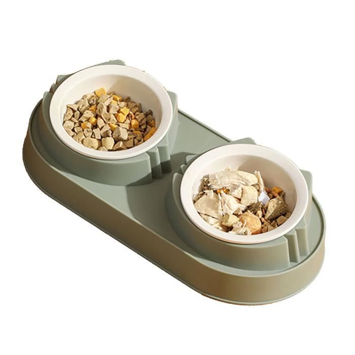 Meilleurs prix pour KEENSO Double gamelle pour chat Gamelle double pour animaux de compagnie, grand calibre, anti-dérapant, animalerie transport Vert