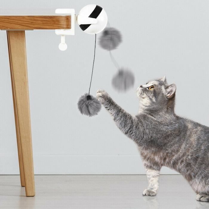 Boule Electrique De Levage Automatique De Teaser De Chat De Jouet De Chat Jouant Avec La Boule Pelucheuse Cdiscount Boule Electrique De Levage Automatique De Teaser De Chat De Jouet De Chat Jouant Avec La Boule Pelucheuse Cdiscount
