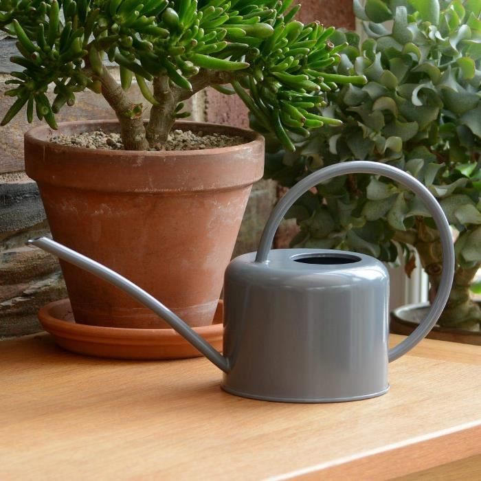 Arrosoir D'intérieur 1,1 L CKB LTD : Fer Galvanisé, Bec Long, Style Rustique, Vert Olive/pomme/menthe