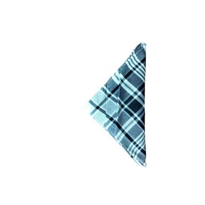 Mouchoirs Carrés Alpes 100% Coton - Lot De 6 - 50x50cm - Motif Carreaux Bleu Et Rouge - Classique
