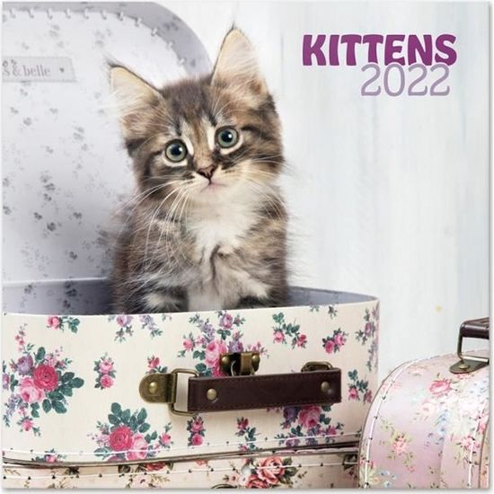  Calendrier mural chats et chatons 2024 - Collectif