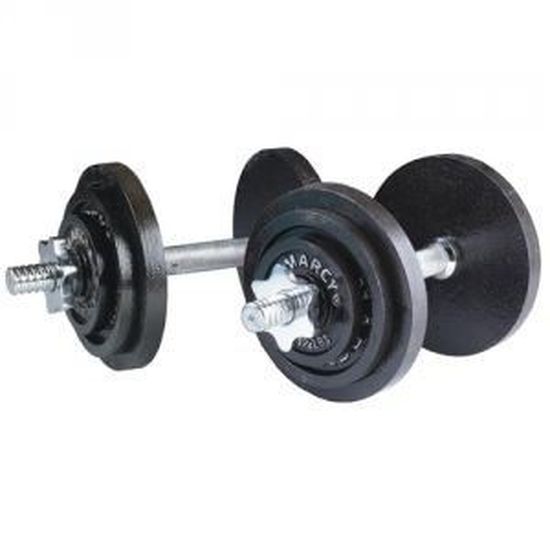 SONGMICS Lot de 2 Haltères Musculation de 30 kg, en Fonte, 2 x 30 kg