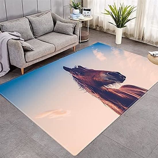 Tapis Salon Style Sud-Ouest Tribal - 50x80 Cm, Flanelle Douce, Antidérapant - 4