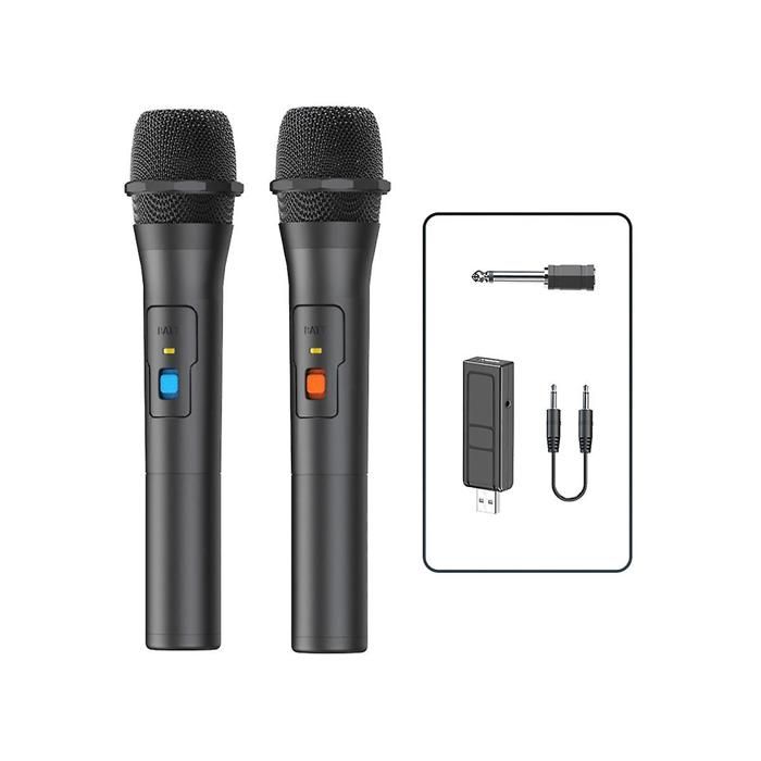 Kit 2 microphones sans fil avec récepteur USB pour karaoké et soirées TV