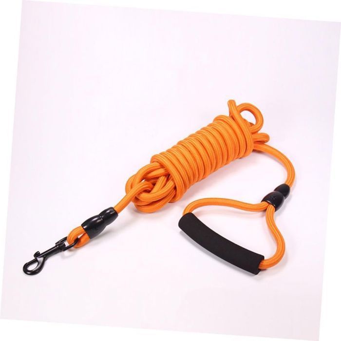 Longe Chien 5m Pour Dressage Randonnée Camping Convient Chiens Petits Moyens