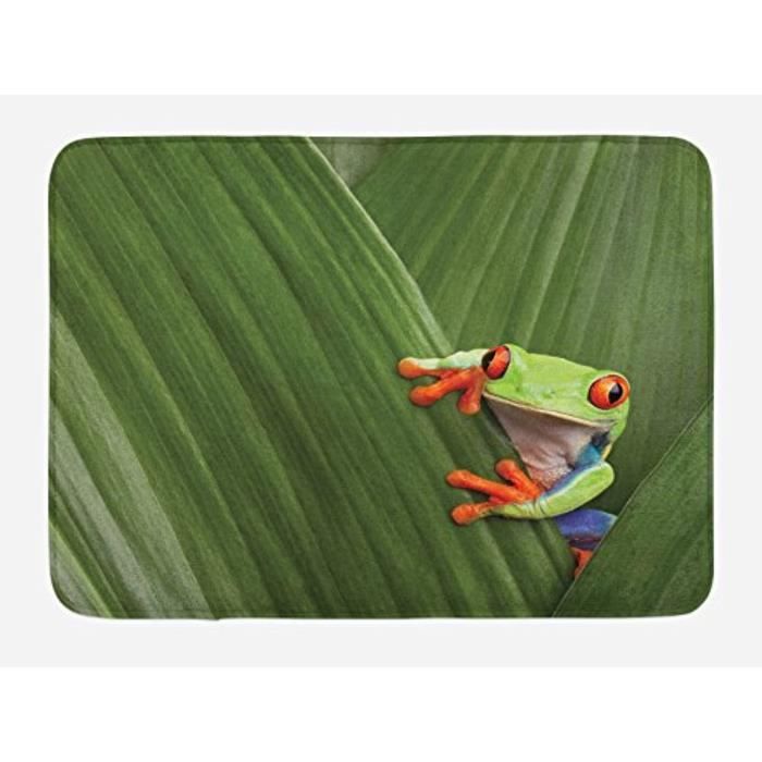 Matelas Bebe E7psp Tapis De Bain Animal Grenouille Aux Yeux Rouges Se Cachant Dans Une Feuille De Macro Exotique Au Costa Rica Fore Cdiscount Pret A Porter