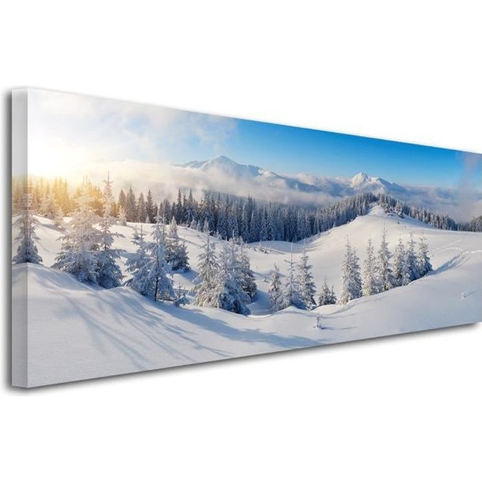 Tableau Déco Montagne - Idée Cadeau Nature - État D'Occasion