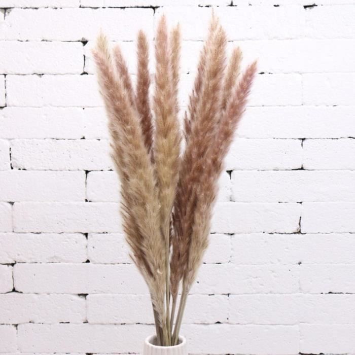 Pampas Herbe Décor Mariage Bouquet De Fleurs Plantes Naturelles Décor ...
