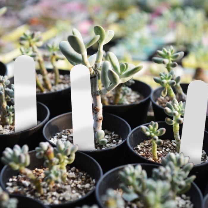 Lot De 100 Marqueurs De Plantes En Forme De T Blancs - Étiquettes Jardin Robustes Et Réutilisables