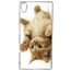 Coque Smartphone Petit Chaton Mignon Compatible Avec Sony Xperia Z4 Ultra Plastique Bord Transparent Achat Smartphone Pas Cher Avis Et Meilleur Prix Cdiscount