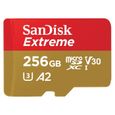 Carte mémoire microSDXC Extreme 256GB - SANDISK - A2/V30/U3/UHS-I/160MB/s-0