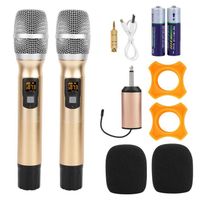 2 x 25 canaux en métal doré microphones à main sans fil avec mini récepteur - SURENHAP - Or - ABS + acier - 25,8 cm