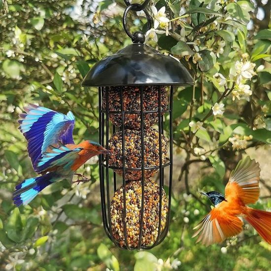 Mangeoire à Oiseaux Suspendue En Métal, Design Coloré Avec Toit Anti-pluie - Pour Jardin, Balcon, Attirer Mésanges, Pinsons