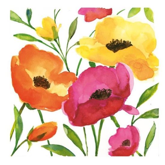 Serviettes Aquarelle Coquelicot 33cm Multicolore Achat Vente Serviette Jetable Serviettes Aquarelle Coq Cdiscount Serviettes Aquarelle Coquelicot 33cm Multicolore Achat Vente Serviette Jetable Serviettes Aquarelle Coq Cdiscount