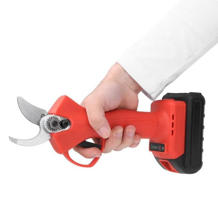 RIN Sécateur Coupe Branche électrique - sans fil coupe SK5 (2 pcs Batterie 1 pc Chargeur)