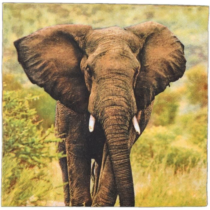 Esschert Design serviettes de table Elephant 33 cm papier brun 3 couches