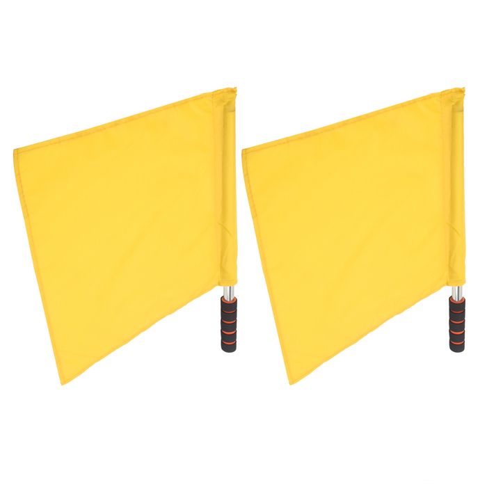 Lot 2 Mâts Drapeau Télescopiques 3m Acier Inoxydable - Léger, Antidérapant, Idéal Manifestation Camping Événements