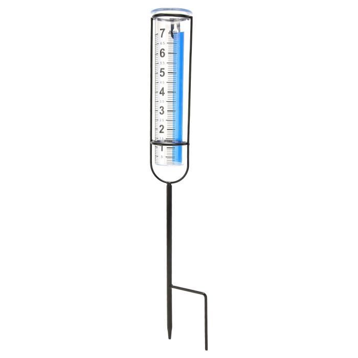 Pluviomètre Flottant Extérieur Colibri - Tube Verre Transparent Pour Jardin Pelouse