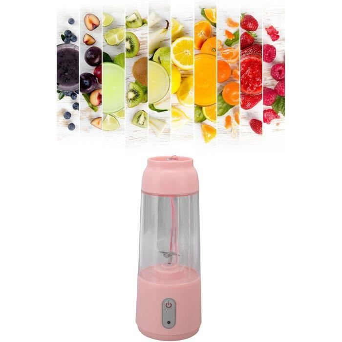 Mini Blender - PCTG ABS - USB Chargeant - 300ml Capacité - 6 Lames pour Vege - Rose