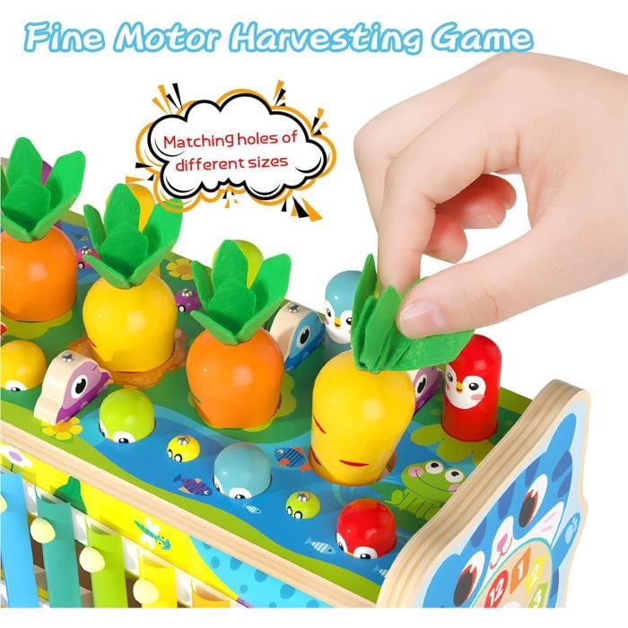 Jouet Montessori 9 En 1 Bois - Xylophone Et Pêche