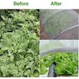 HAOLIP-Filet anti greleFilet anti-insectes pour serre jardin potager pour protéger les plantes fleurs légumes et fruits - 3 x 6 m-3
