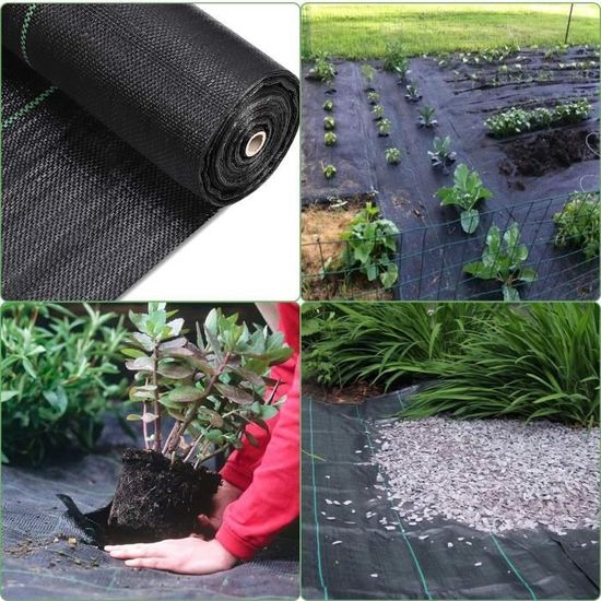 Dripex Toile De Paillage Anti-Mauvaises Herbes 2 M × 25 M – 90 G/m² Géotextile Noir Perméable Anti-UV