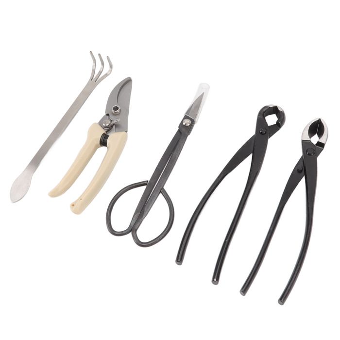 Ensemble d'outils pour bonsaï 5 pièces Kit de ciseaux à bonsaï en acier ...