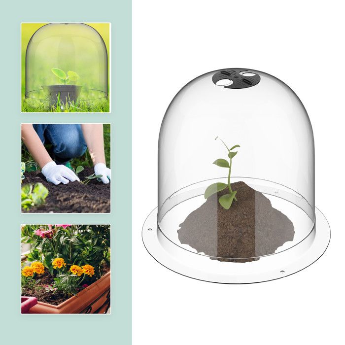 Cloches De Culture Pour Plantes - Lot De 10 - Transparentes, Empilables - 25 Cm - Protection Gel/limaces