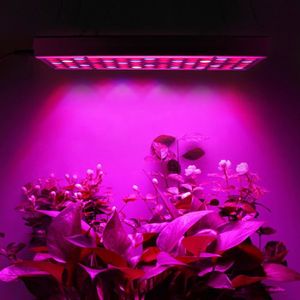 LAMPE VERTE Lampe LED horticole spectre complet 50W pour plant