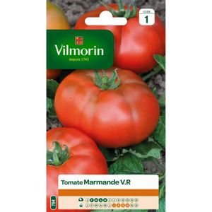 GRAINE - SEMENCE VILMORIN Tomate Marmande Sachet de graines