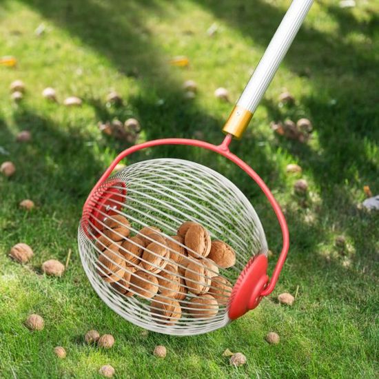 Cueille-Fruits Télescopique 4,2 M - Pour Pommes, Cerises, Noix - Sac Inclus - Léger Et Réglable