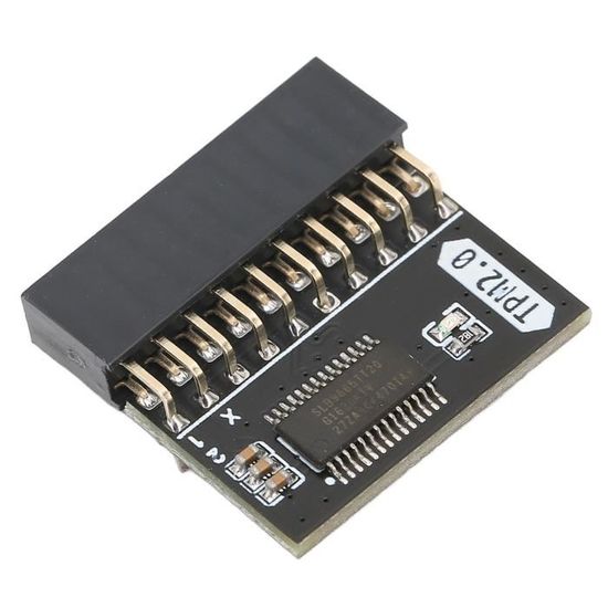 Module TPM 2.0 Cryptage 20 Broches - Pour Cartes Mères Gigabyte Et ASUS - Sécurité Renforcée Pour PC