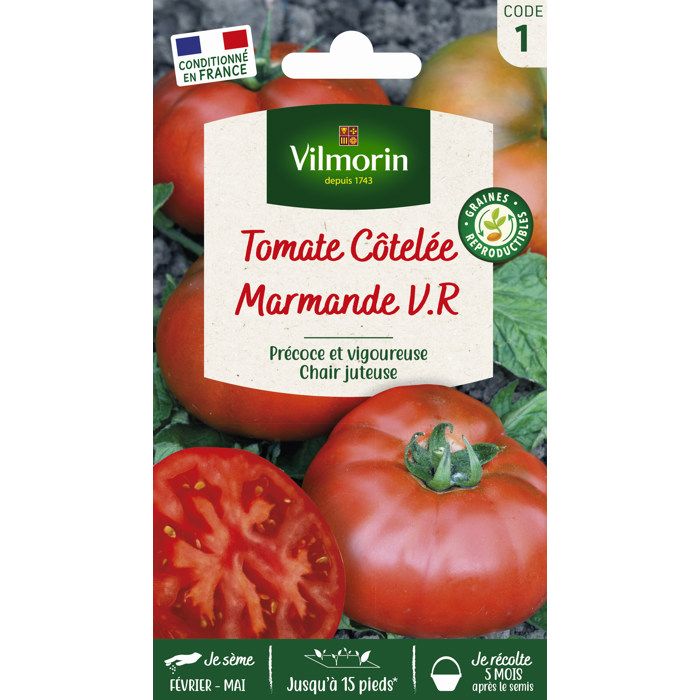 VILMORIN Tomate Marmande Sachet de graines