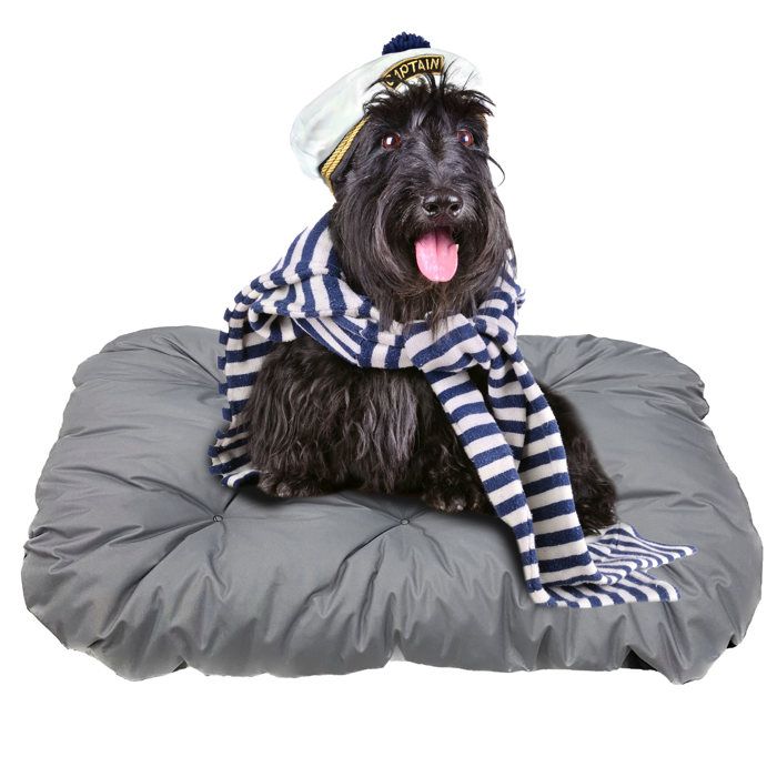 Meilleurs prix pour Lit Pour Chien EDANTI Panier Coussin 70x50 Gris