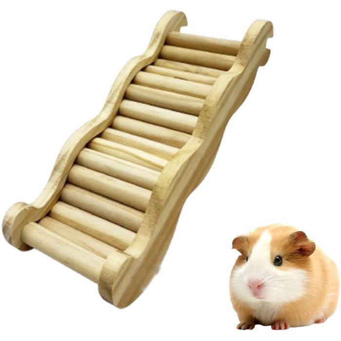 Pont en arc de bois pour hamsters non peint et non ciré avec échelle daccès. ACCESSOIRES FABRICATION MAISON