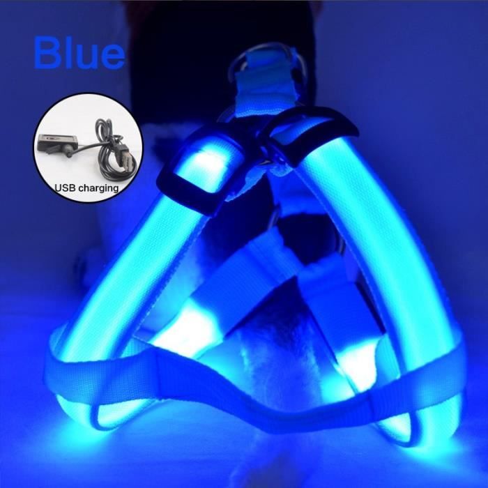 Harnais lumineux - 38-46cm - Bleu - Rechargeable USB - LED sans traction