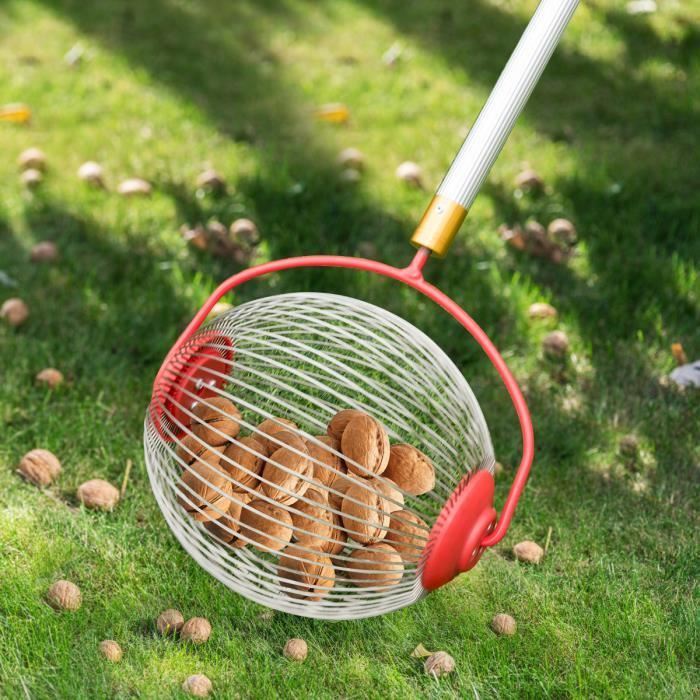 Ramasseur de noix Ã rouler, ramasseur de noix Ã pince Ã billes rÃ©glable  pour pelouse/ Jardin, ramasse les noix, les pacanes, le golf et les petits  objets, outils manuels extÃ©rieurs 