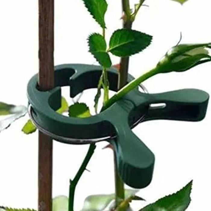 Plante de jardin 40 réutilisables en plastique clips de printemps arbre arbuste cravate canne 