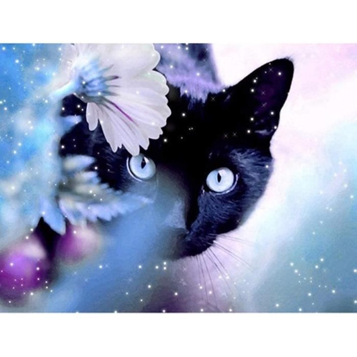 Peinture Par Numéros Chat Noir - Kit 40x50 Cm Avec Toile, Pinceaux Et Peinture - Déco Salon