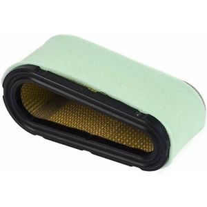 Pack 5 Filtres à Air Briggs & Stratton - Remplace 799579 5434 4248