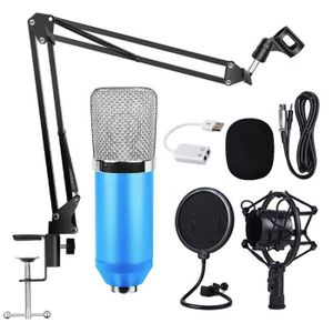 MICROPHONE - ACCESSOIRE Microphone professionnel à condensateur, pour enre