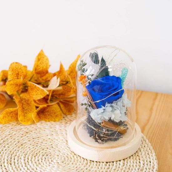Rose éternelle Sous Cloche LED - Kit Cadeau Avec Dôme En Verre Et Carte - Idéal Pour Fête Des Mères, Anniversaire, Saint-Valentin - Cadeau Femme Romantique