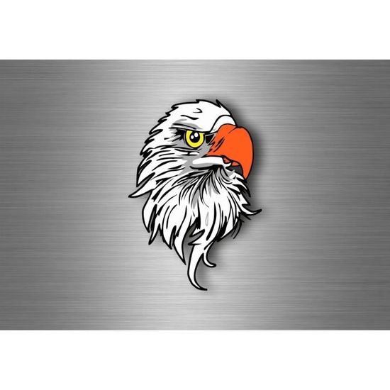 Pin's Aigle Biker 'Born WILD' – Hauteur 30 Mm – Alliage Argenté – 2 Attaches
