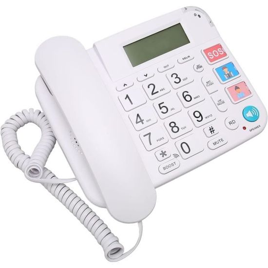 253006_6 253006_6