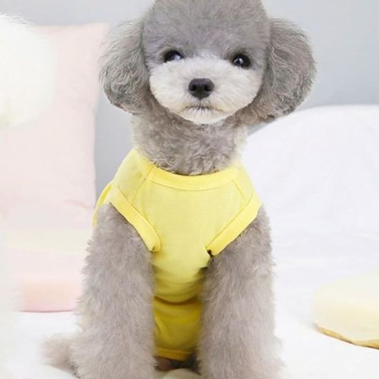 Combinaison De Récupération Pour Chat Post-opératoire - En Coton Doux, Taille M Rose | Anti-léchage, Protection Plaies, Confortable