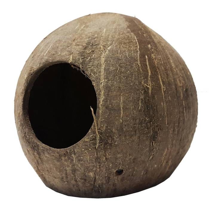 Accessoire de terrarium - REPTILES PLANET - Coco Cave - Noix de coco naturelle - Écologique - Facile à nettoyer