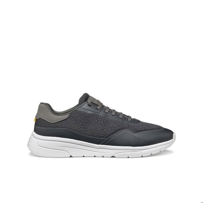 Geox Baskets Geox Klaiver A